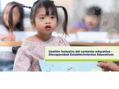 Gestión inclusiva del contexto educativo - Discapacidad Establecimientos Educativos