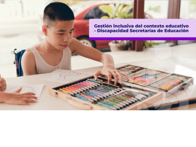 Gestión inclusiva del contexto educativo - Discapacidad Secretarías de Educación