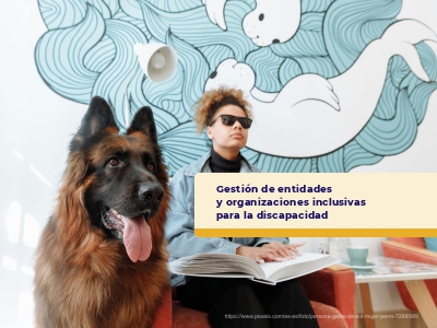 Gestión de entidades y organizaciones inclusivas para la discapacidad