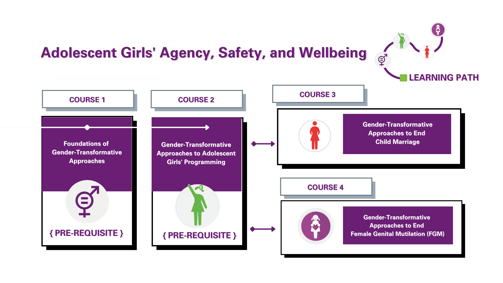 The Adolescent Girls' Agency, Safety and Wellbeing learning path
