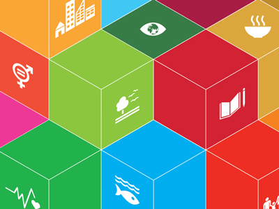 The SDG Primer